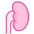 Custom icon